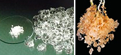 Absorbentes agricolas